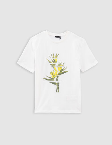 Wit T-shirt biokatoen pixelopdruk bladeren jongens - IKKS