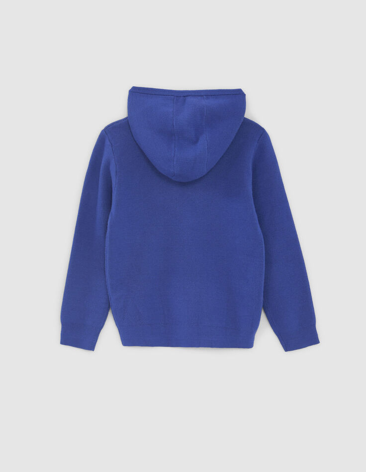 Blauer Jungen-Strickpullover mit Bulldoggendesign-4