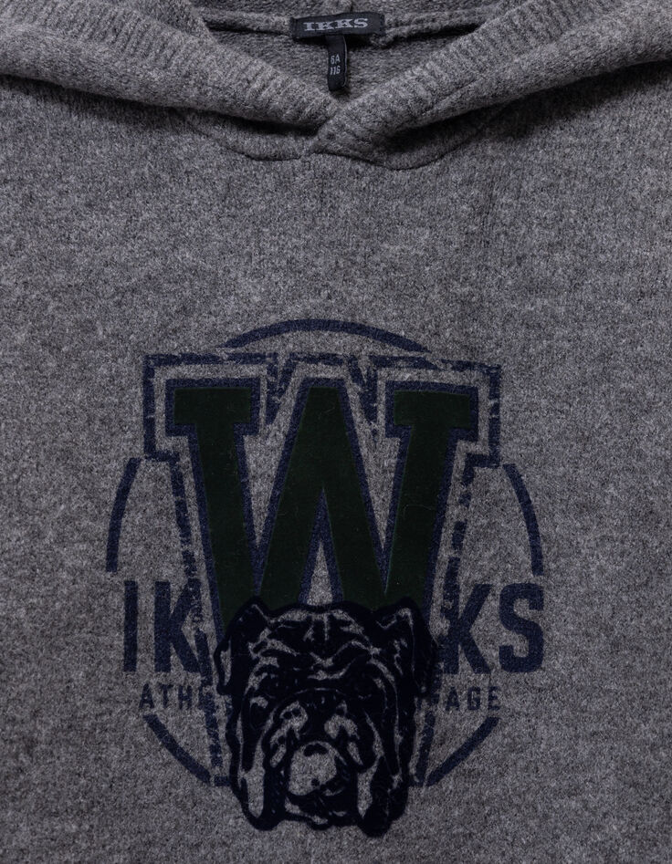 Pull à capuche gris tricot visuel chien garçon-6