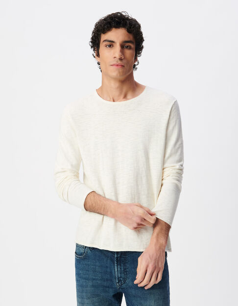 Stuccofarbener, geflammter Herrenpullover mit Rollsaum - IKKS