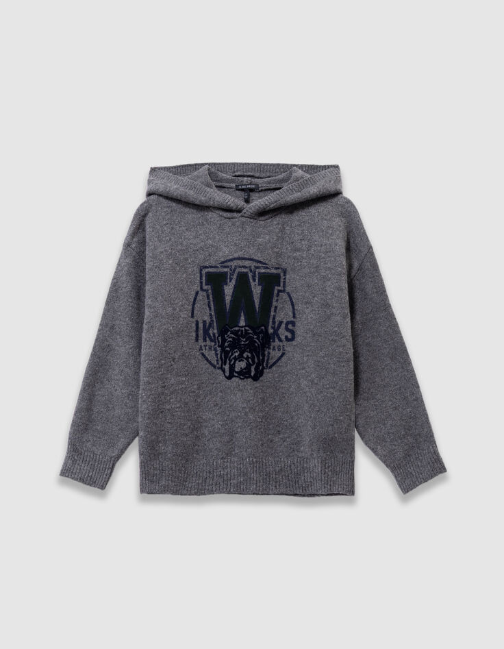 Pull à capuche gris tricot visuel chien garçon-3