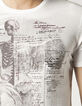 Tee-shirt homme-3
