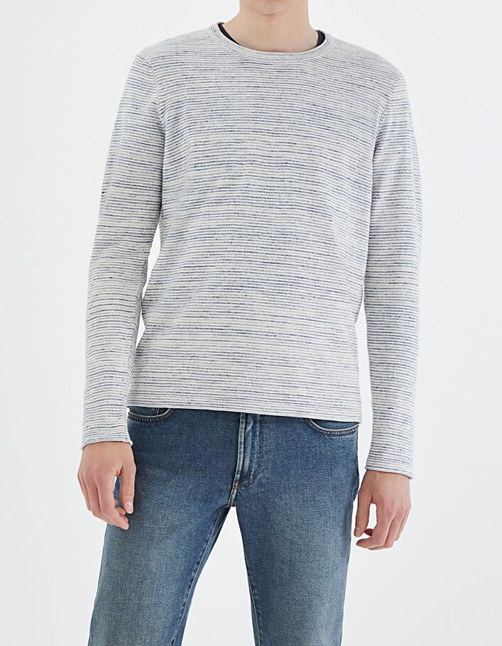 Pull glacier tricot à micro rayures Homme-2