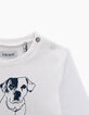Baby boys' off-white DJ-dog T-shirt  -4