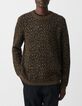 Pull beige tricot jacquard motif l&eacute;opard Homme-1