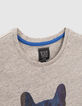 T-shirt gris visuel bouledogue-sweat garçon-4