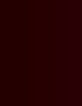 Women’s garnet dress with press stud decor-8