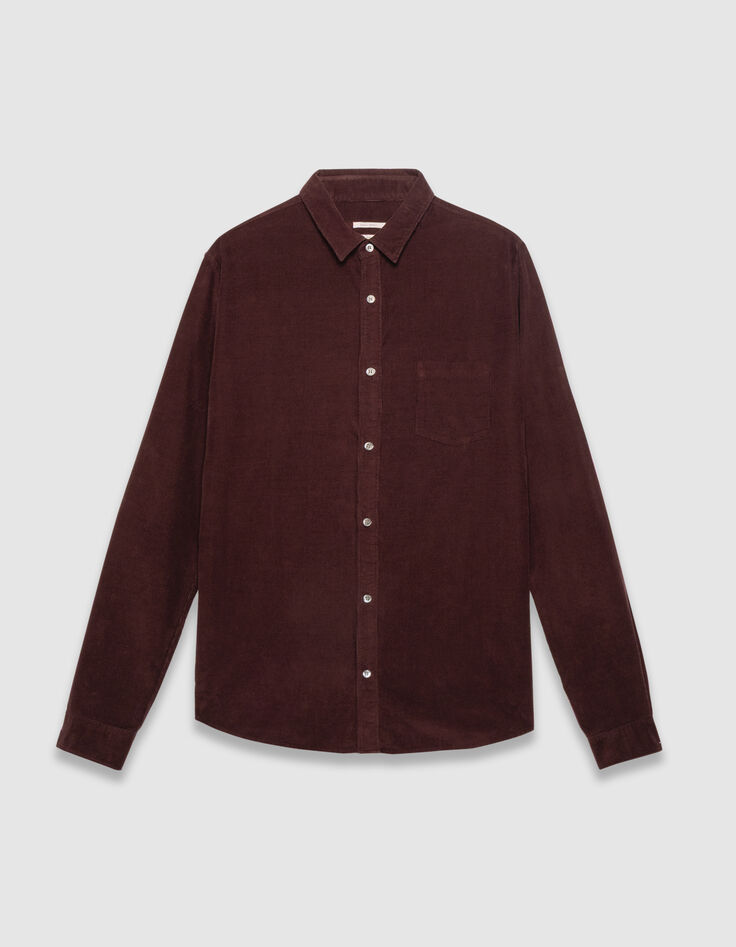 Chemise regular prune coton bio velours milleraies Homme-6