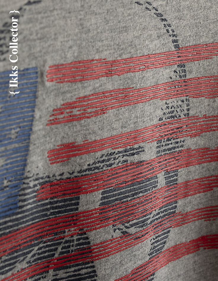Camiseta Collector gris The Californian niño -4