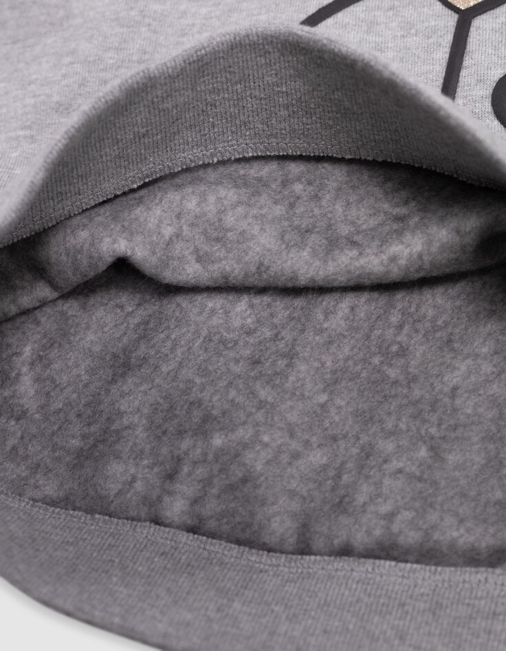 Sweat grau Bio-Baumwolle Visuel Joie VICE-VERSA girl-7 Sweat grau Bio-Baumwolle Visuel Joie VICE-VERSA girl-7