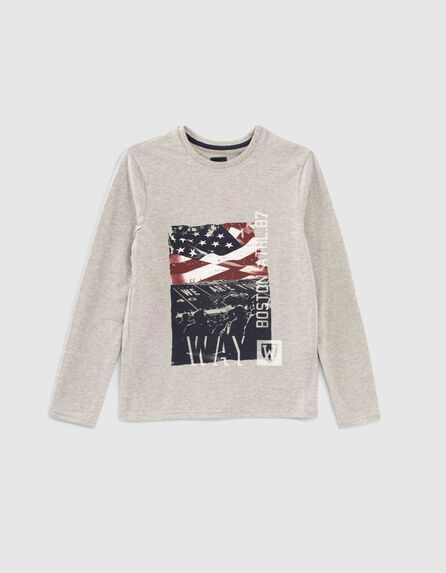 Boys’ medium grey marl US flag stadium image T-shirt 