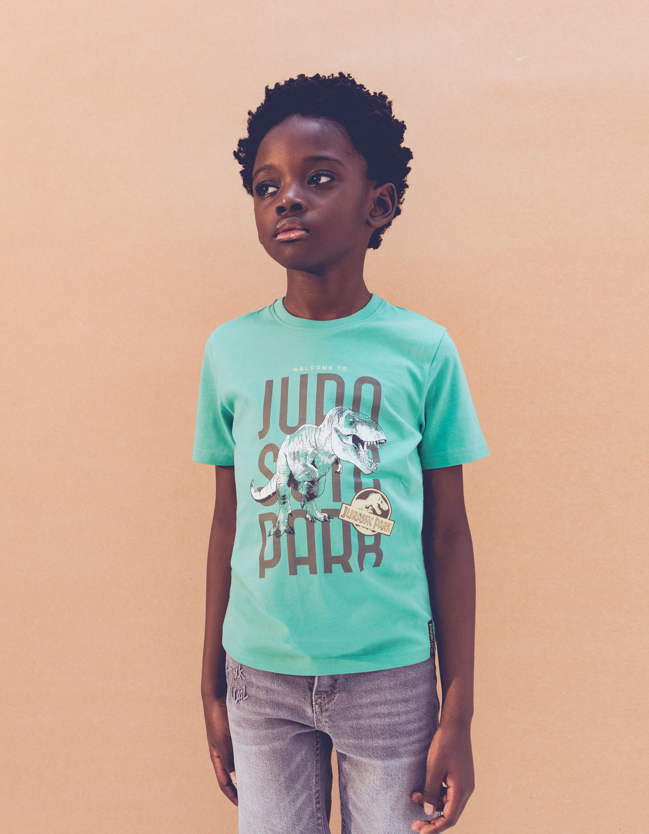 Camiseta jurassic park niño hotsell
