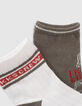 Baby boys' khaki/ecru ribbed socks-6