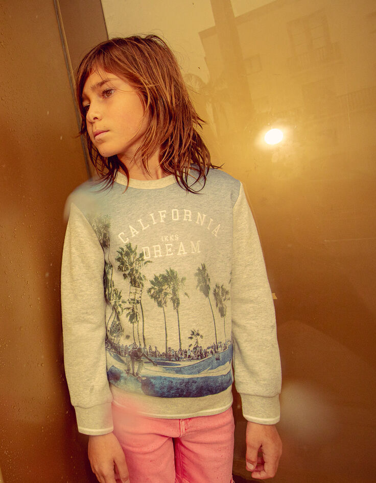 Boys’ grey marl skateboarder and palm sweatshirt-1