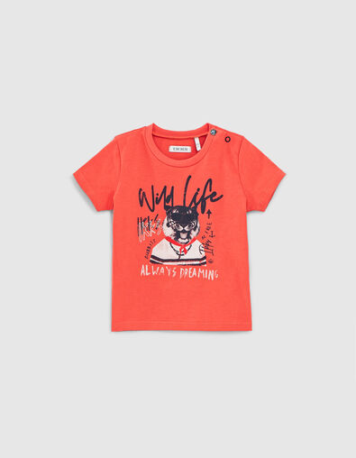 Oranje T-shirt opdruk tijger biokatoen babyjongens  - IKKS