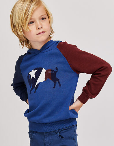 Jersey bisonte niño  - IKKS
