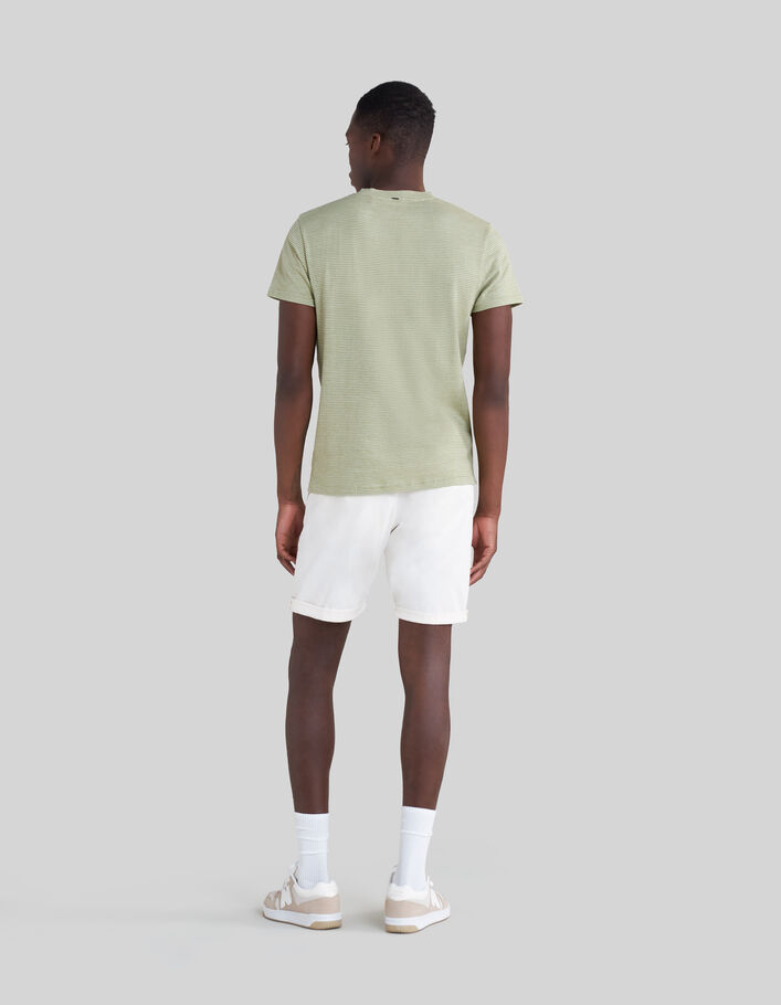 Men’s pistachio organic cotton thin striped T-shirt - IKKS