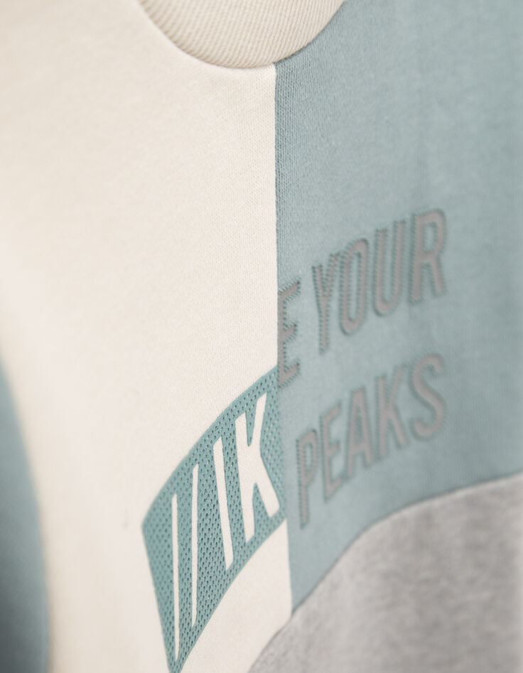 Sweater in grijs, groen, ecru rubber visuals jongens-6