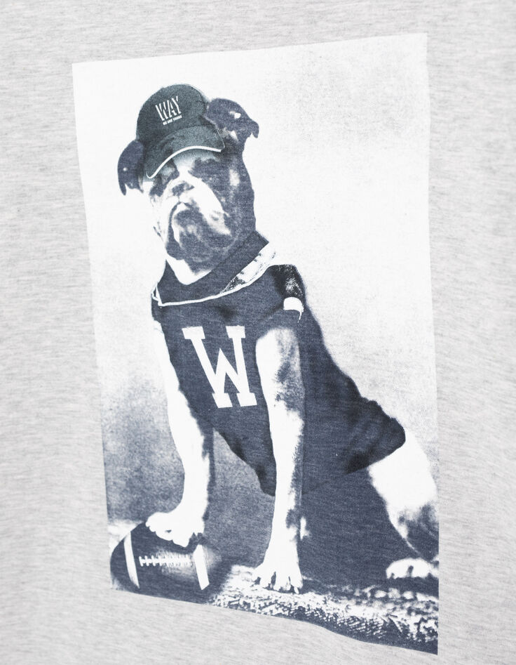 Camiseta gris jaspeado medio perro-jugador niño -4 Camiseta gris jaspeado medio perro-jugador niño -4
