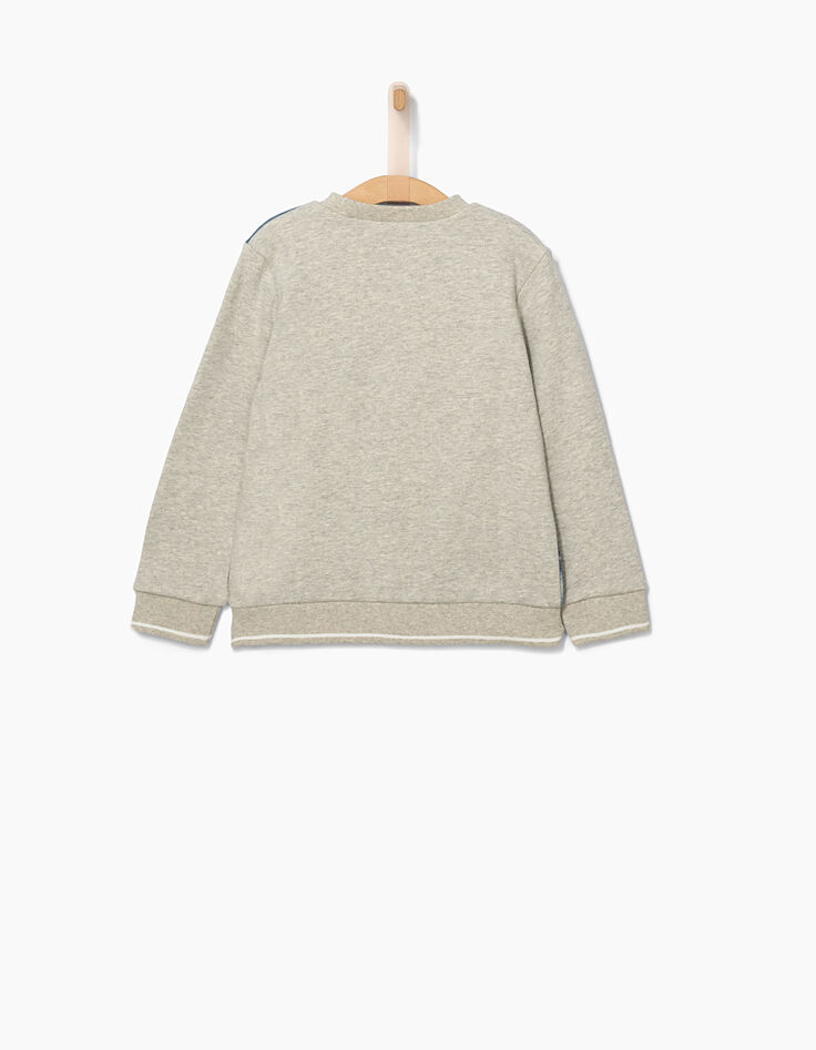 Boys’ grey marl skateboarder and palm sweatshirt-4