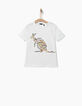 Camiseta canguro niño -2