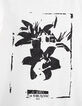 Boys’ off-white trompe-l'œil image organic T-shirt-2