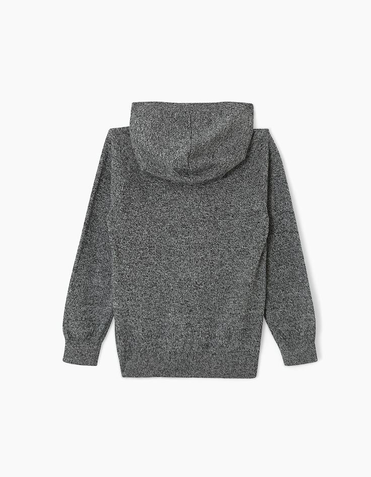 Pull gris chiné à capuche flocage tigre Good Karma garçon -4
