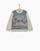 Boys’ grey marl skateboarder and palm sweatshirt-2