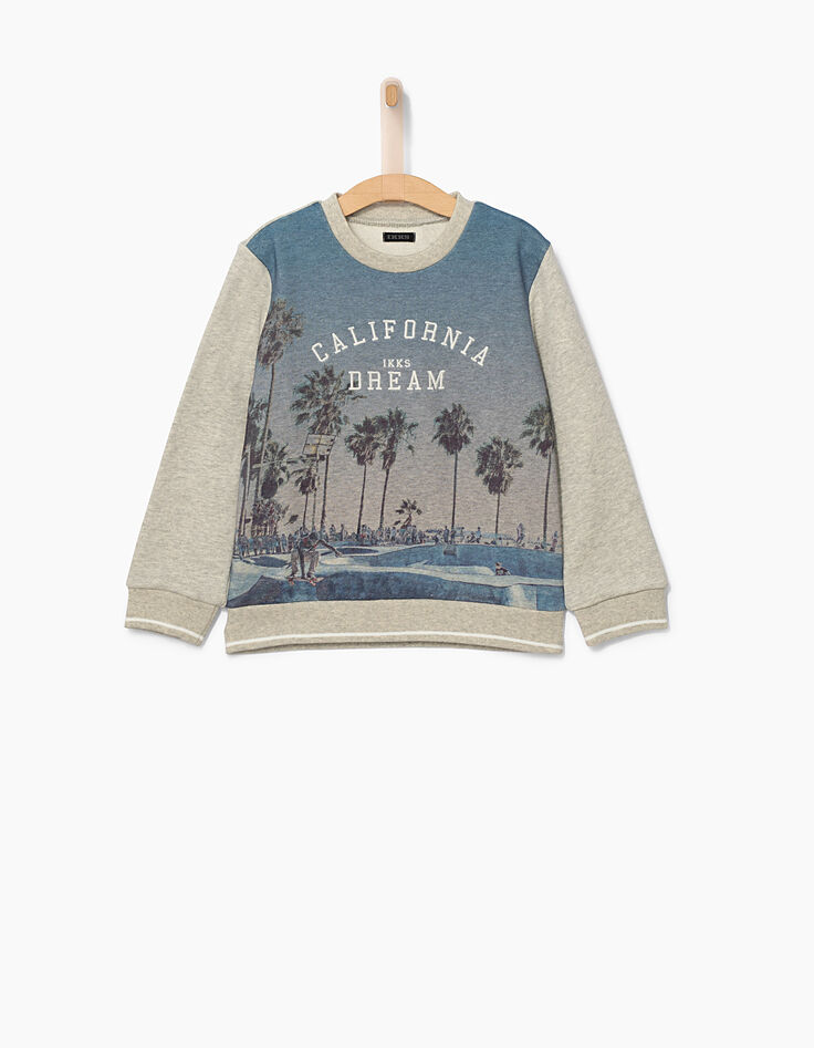 Boys’ grey marl skateboarder and palm sweatshirt-2