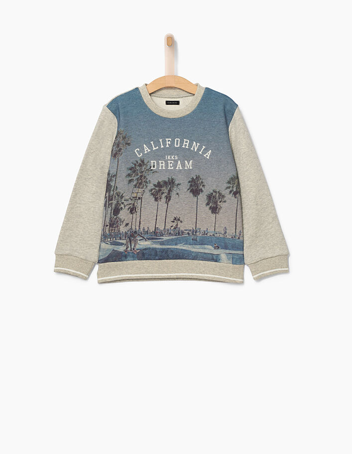 Boys’ grey marl skateboarder and palm sweatshirt - IKKS