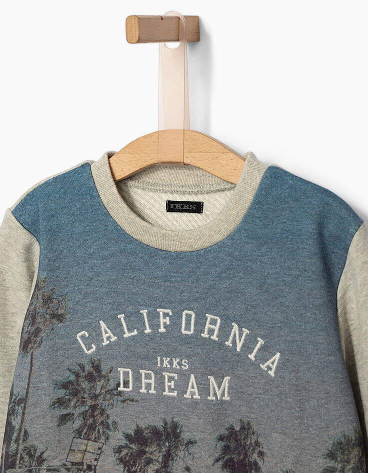 Boys’ grey marl skateboarder and palm sweatshirt-3