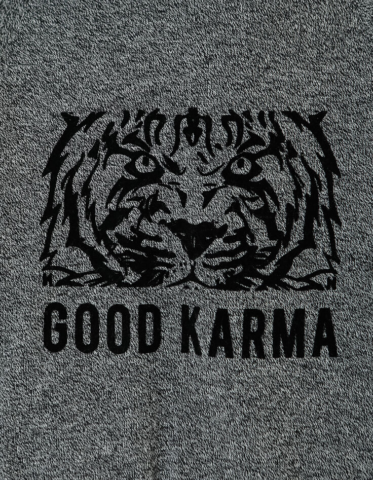Pull gris chiné à capuche flocage tigre Good Karma garçon -3 Pull gris chiné à capuche flocage tigre Good Karma garçon -3