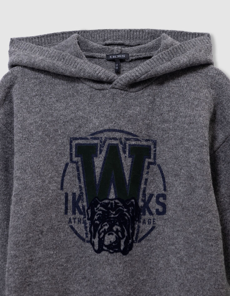 Pull à capuche gris tricot visuel chien garçon-4