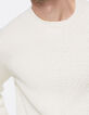 Men’s mastic cable knit sweater-5