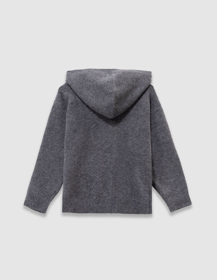 Pull à capuche gris tricot visuel chien garçon-5