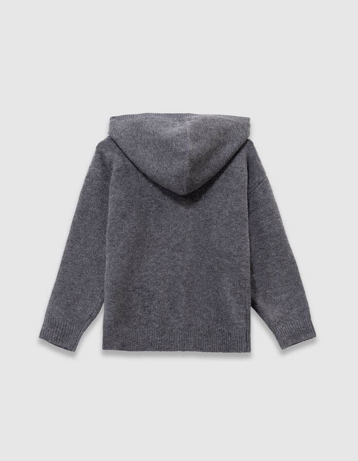 Pull à capuche gris tricot visuel chien garçon-5 Pull à capuche gris tricot visuel chien garçon-5