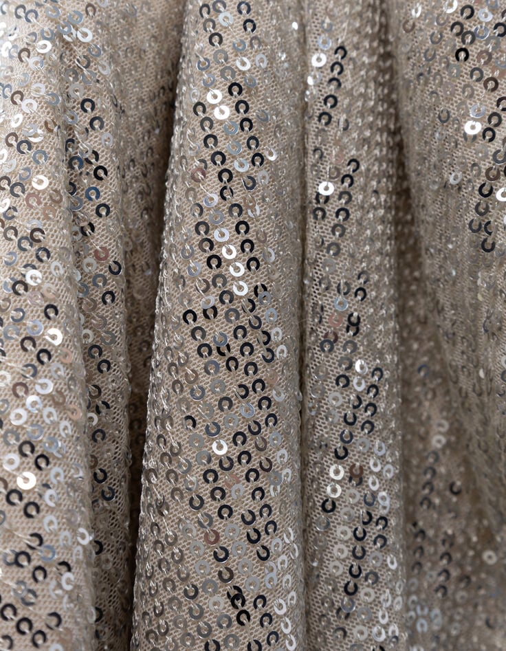 Jupe midi argent&eacute;e brod&eacute;e sequins Femme-7