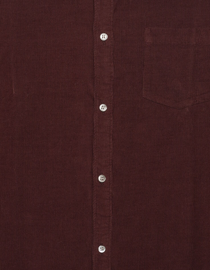 Chemise regular prune coton bio velours milleraies Homme-7