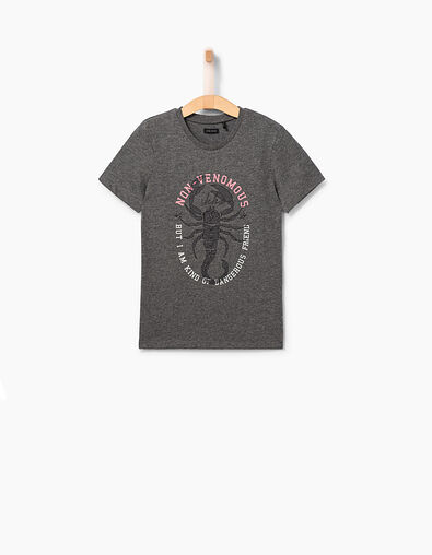 Boys' dark grey embroidered scorpion T-shirt  - IKKS