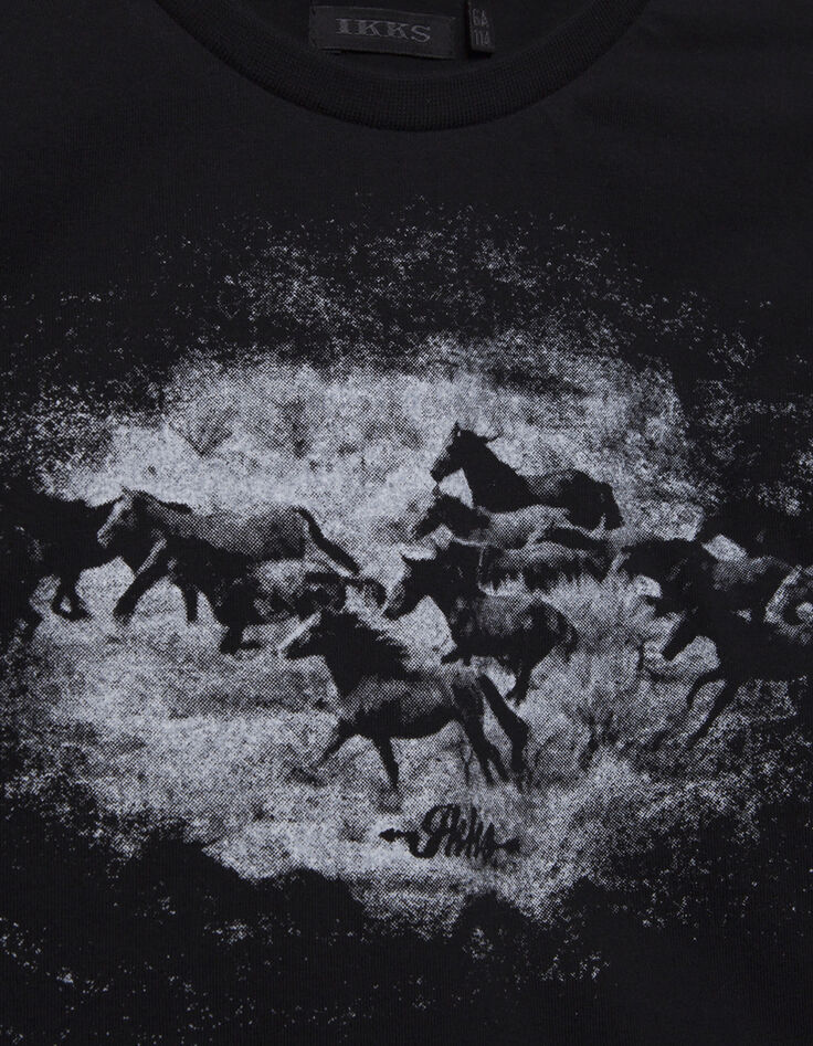 Camiseta niño-2 Camiseta niño-2