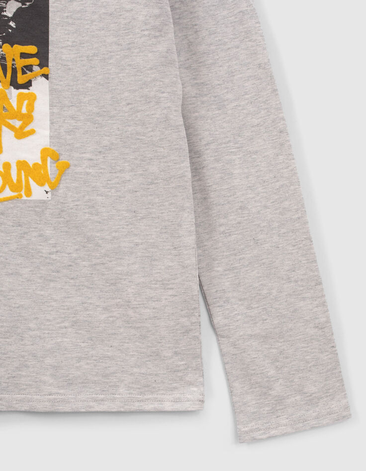 Boys&rsquo; grey double image and flocked T-shirt-4