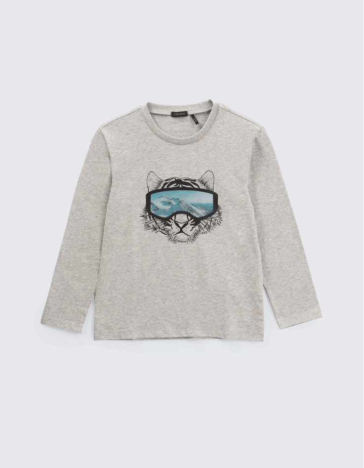 Camiseta gris tigre y máscara lenticular niño-1