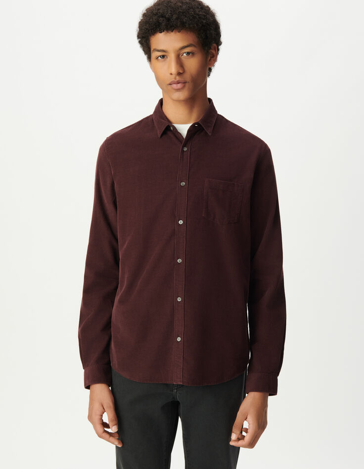 Chemise regular prune coton bio velours milleraies Homme-3
