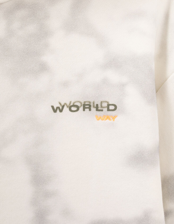 Hellgraues Sweatshirt, Tie-and-Dye, Typo hinten-6