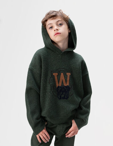 Pull à capuche vert tricot visuel chien garçon - IKKS