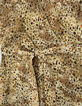 Mandelgrünes Damenkleid mit Animalprint, schulterfrei-5