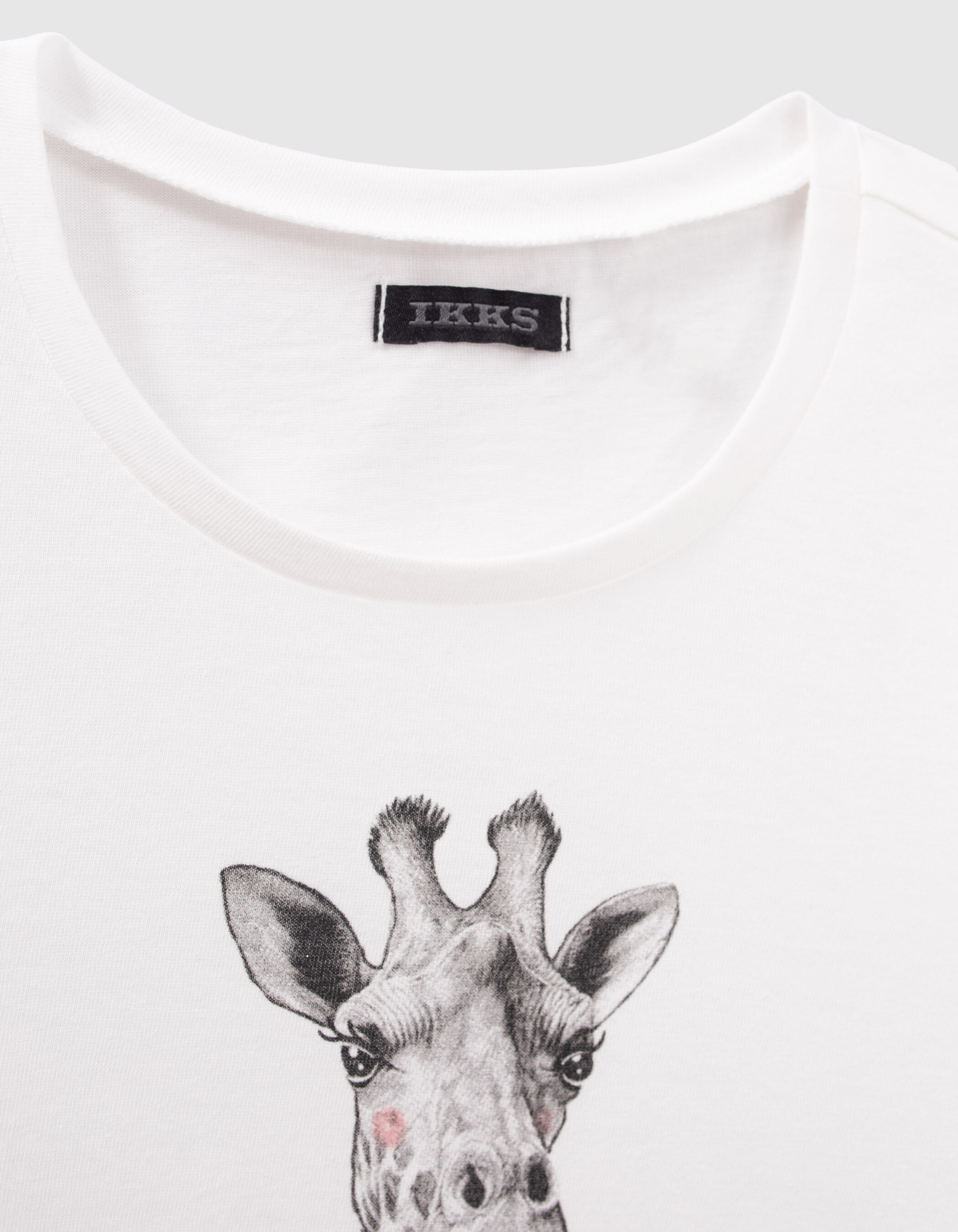 Ballerines ikks top