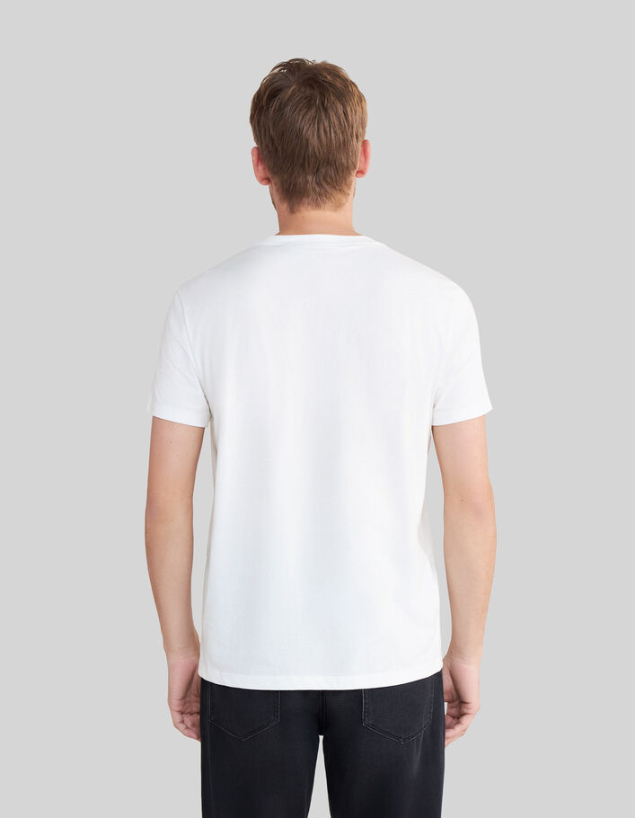 Men’s white organic cotton T-shirt with palm tree image - IKKS