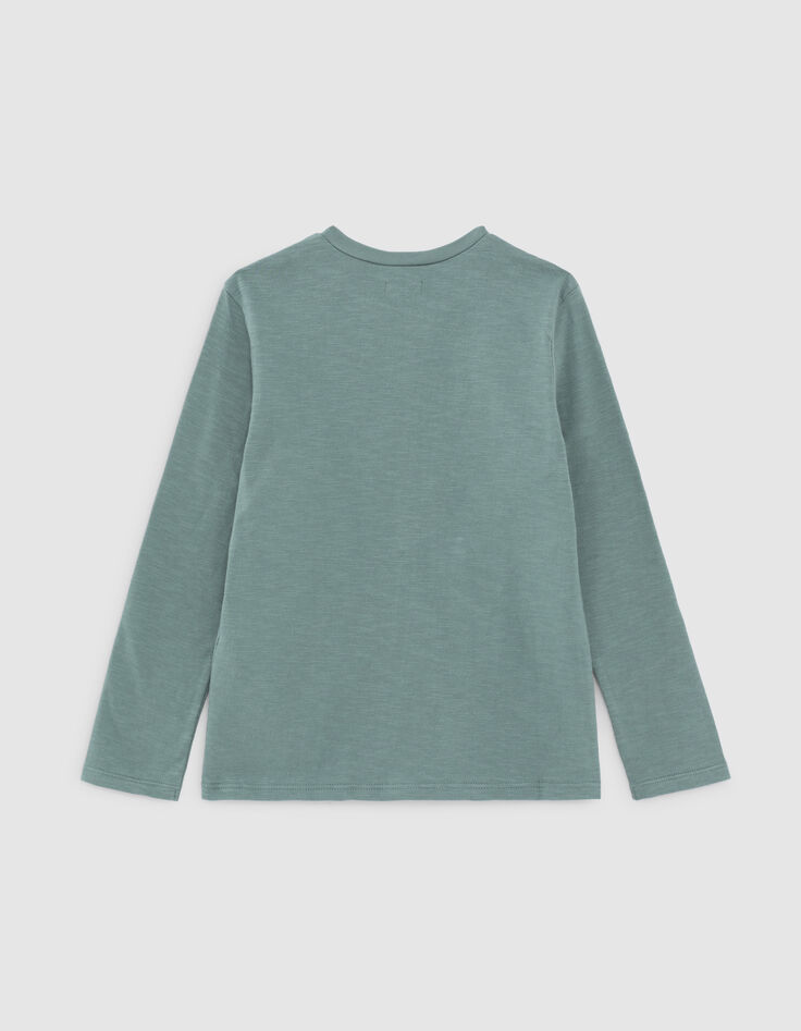 Boys’ stone green plane image organic cotton T-shirt -3