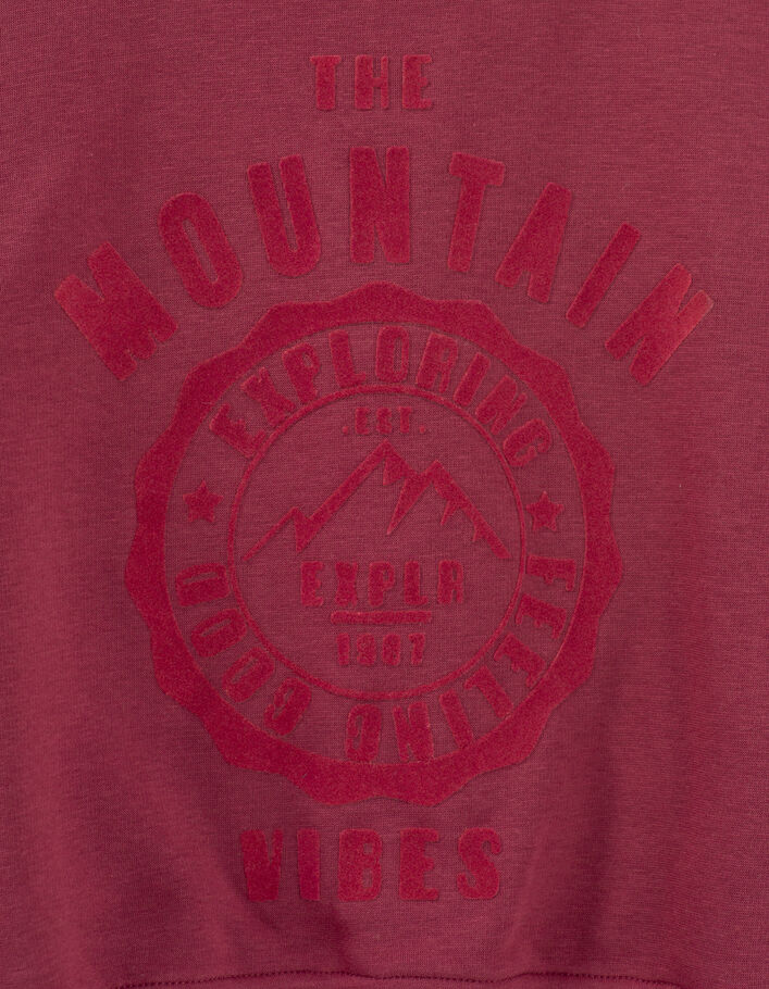 Girls’ cherry mountains image flocked sweatshirt - IKKS